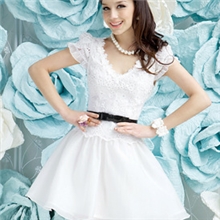 2013新款韩版女装白色绣花V领收腰大摆连衣裙厂家直销批发代理