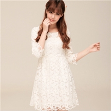 免费代理范玮琪大明星同款超甜美气质全蕾丝镂空绣花修身连衣裙