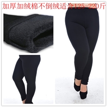 秋冬新款胖MM加大加肥加厚加绒打底裤女批发打底裤加绒加厚