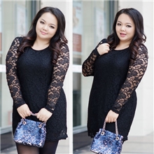 秋装新款胖MM圆领长袖显瘦蕾丝连衣裙批发连衣裙长袖女装大码