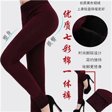 秋冬新品七彩棉打底裤加绒加厚保暖裤批发无缝九分踩脚一体裤
