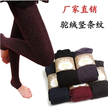 批发韩版驼绒竖条纹秋冬加厚打底裤女羊毛连脚裤显瘦踩脚裤