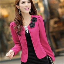 2013秋装新款韩版修身OL气质双排扣小西服短款小西装厂家直销