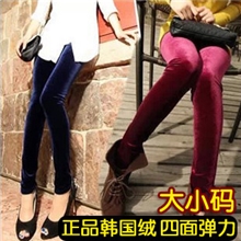 秋冬新款韩国铅笔小脚女士金丝绒打底裤显瘦修身弹力裤女裤批发
