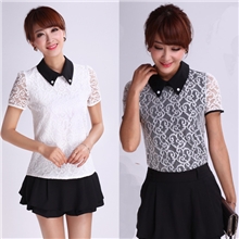 蕾丝精品13款蕾丝短袖打底衫雪纺衫韩版职业娃娃领夏装一件代发