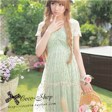 韩版夏款V领精致刺绣花朵纱纱连衣裙长裙