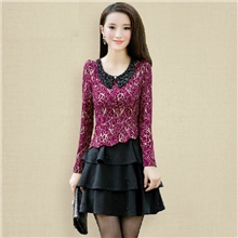 2013秋冬季新款蕾丝连衣裙韩版OL修身气质长袖修身蛋糕打底连衣裙