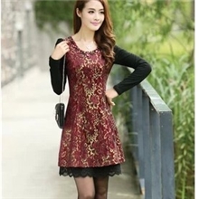2013秋装新款女装长袖蕾丝修身连衣裙韩版显瘦A字打底连衣裙