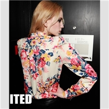 【厂家直销】欧美女装2013春装新款个性印花长袖雪纺衬衫2016