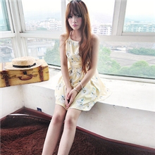 1567#2013春款雏菊印花花朵印花无袖修身连衣裙