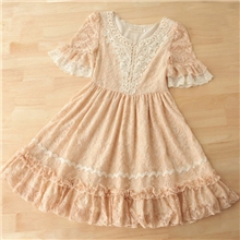 日韩女装夏装高腰公主蕾丝裙收腰显瘦蕾丝镂空刺绣连衣裙优质版