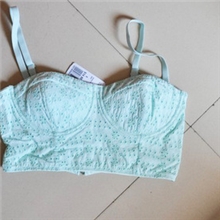 欧美白菜复古小清新蕾丝吊带拉链胸衣可外穿