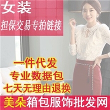 一件代发免费代理女装数据包韩版连衣裙T恤卫衣分销开网店装修