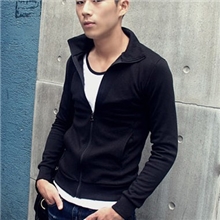 供应男式韩版立领连帽修身卫衣休闲简洁卫衣外套02096474035