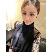 2013秋装新款连衣裙长袖8349#立领蕾丝透视性感秋季连衣裙