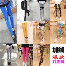 韩版女装秋冬季加绒保暖裤九分女裤子义乌小猫裤时尚打底裤批发