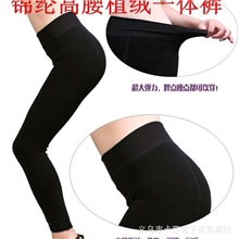 秋冬糖果单层加绒加厚高腰踩脚打底裤一体裤不倒绒/考拉绒保暖裤