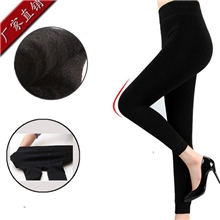 厂家直销高弹无缝保暖裤时尚九分考拉绒一体裤加绒打底裤批发