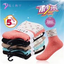 逸之靴下成人品牌秋冬纯棉全棉女士袜子批发城诸暨袜子厂家可选色