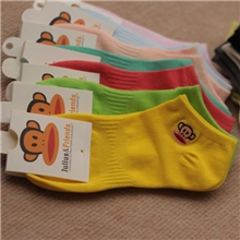 夏季袜子批发厂家外贸纯棉船袜全棉纯色隐形男士女士袜情侣袜