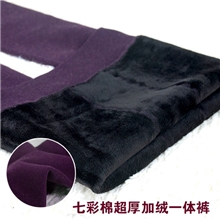 秋冬加绒保暖打底裤最新一体无缝七彩棉九分靴裤袜女九分裤