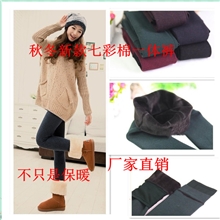 冬款高腰七彩棉裤袜保暖裤加绒加厚踩脚袜裤不倒绒打底裤厂家7色