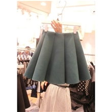 韩国代购2013秋冬新款修身半身裙毛呢百褶裙韩版小短裙显瘦打底裙