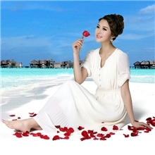 欧格菲2013夏季新款连衣裙女装长袖鱼尾雪纺裙长裙L13032广州批发