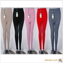 特价今冬新款女式无缝收腹护膝提臀打底羊绒裤羊毛裤