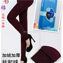 2013最流行款秋冬七彩棉加绒加厚无缝一体裤美体裤打底裤显瘦保暖