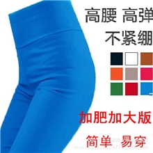 加肥加大版高腰糖果色高弹力胖MM加大码打底裤简单易穿舒适显瘦