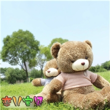 厂家亏本批发泰迪熊公仔毛绒玩具穿衣刺猬熊毛衣熊礼品批发