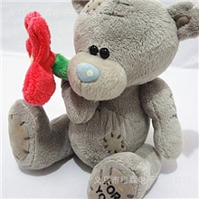 正品毛绒玩具乞丐熊小号公仔抱枕节日礼品