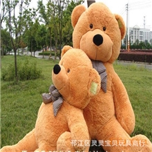 正品毛绒玩具公仔，林嘉欣抱抱熊，生日礼物，女生，娃娃，泰迪