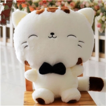 毛绒玩具可爱大脸猫饭团猫招财小猫咪情侣公仔娃娃结婚儿童节礼物