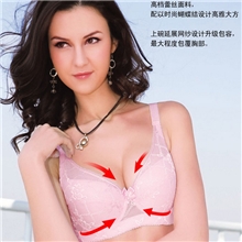 供应品牌大码D杯文胸性感刺绣聚拢调整型文胸批发