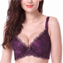 品牌文胸批发磁疗刺绣调整型文胸罩女士高档内衣生产厂家外贸文胸