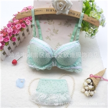 文胸批发2013新款可爱少女面面舒适内衣文胸学生公主风文胸套装