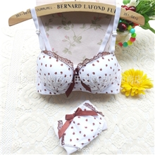 新款2013韩版少女内衣文胸套装小苹果田园清新内衣文胸批发