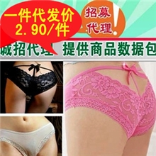 2031公主蕾丝水钻蝴蝶结深V露股沟免费代销代发一件代发免费