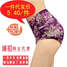 加盟无条件终身制2045瘦腰提臀内裤高腰女士内裤服装免费代发