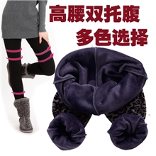2012冬装孕妇装孕妇保暖裤孕妇打底裤加厚批发