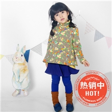 2013冬装新款童裙花颜巧语宝宝儿童女童长袖中国风旗袍连衣裙广东