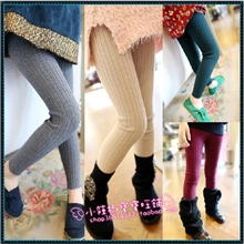 卡哇伊女童秋装2013新款儿童针织加厚打底裤加绒童裤童装批发