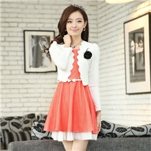 2013秋装新款韩版两件套修身显瘦长袖连衣裙厂家批发