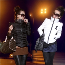 2013新款韩版高领起肩短款修身感羽绒服棉衣棉服外套女