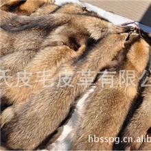 厂家直销高品质唐山貉子皮、山东貉子皮、貉子皮、貉子服装辅料