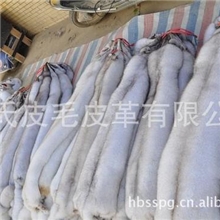 厂家直销各种高品质狐狸皮、银狐、蓝狐、雪狐裘皮、狐狸皮草