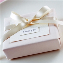 (现货)随机小礼物拍下有送，不拍不送随机