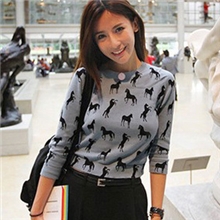 (现货)精品版装同款10月美国纽约小马图案针织衫